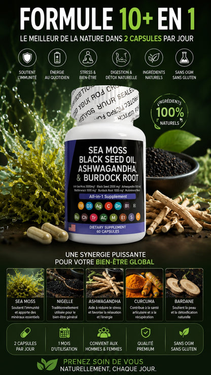 SEA MOSS BLACK SEED OIL